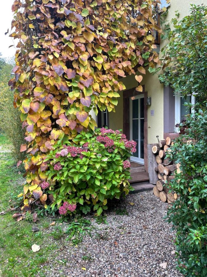 Ferienwohnung Suedliche Weinstrasse Zwischen Wald Und Reben Klingenmuenster Exterior photo